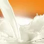 обезжиренное молоко (обрат) от 25 тонн  в Красноярске и Красноярском крае 2