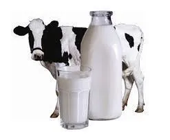 фотография продукта Молоко сырое цельное