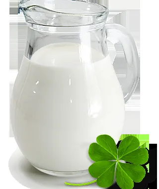 фотография продукта сырое молоко 